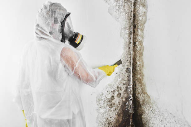 Best Mold Removal Process  in Marietta, GA