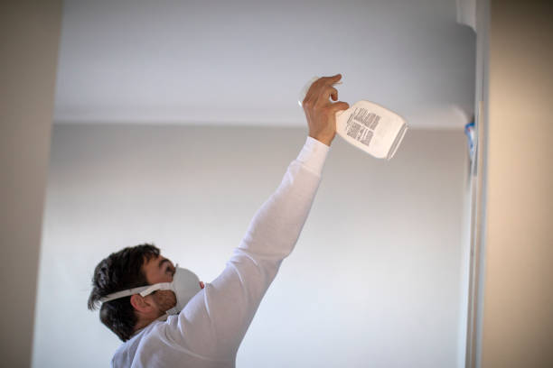Best Fast Mold Removal  in Marietta, GA