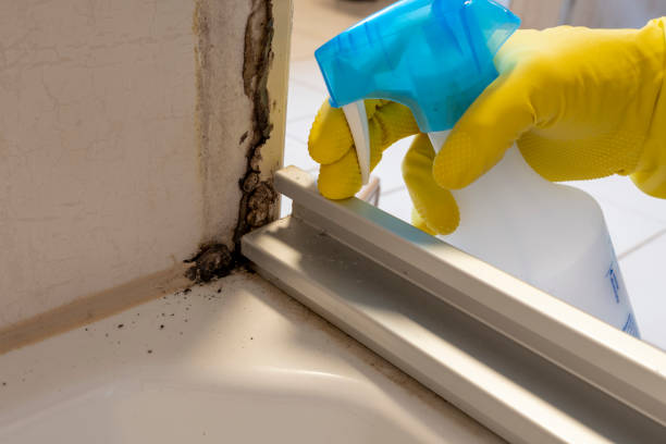Best Mold Testing  in Marietta, GA