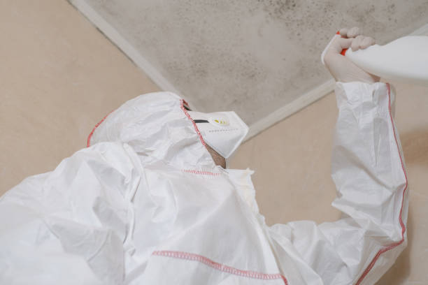 Best Commercial Mold Removal  in Marietta, GA