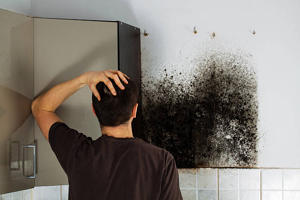 Reliable Marietta, GA Mold Removal Solutions